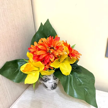 Clio Дом отдыха *